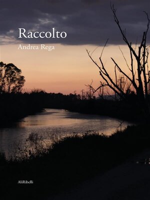 cover image of Raccolto